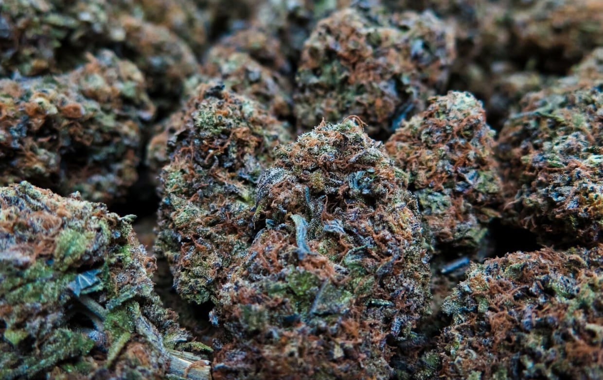 Top 5 Highest Rated Medical Strains Available at