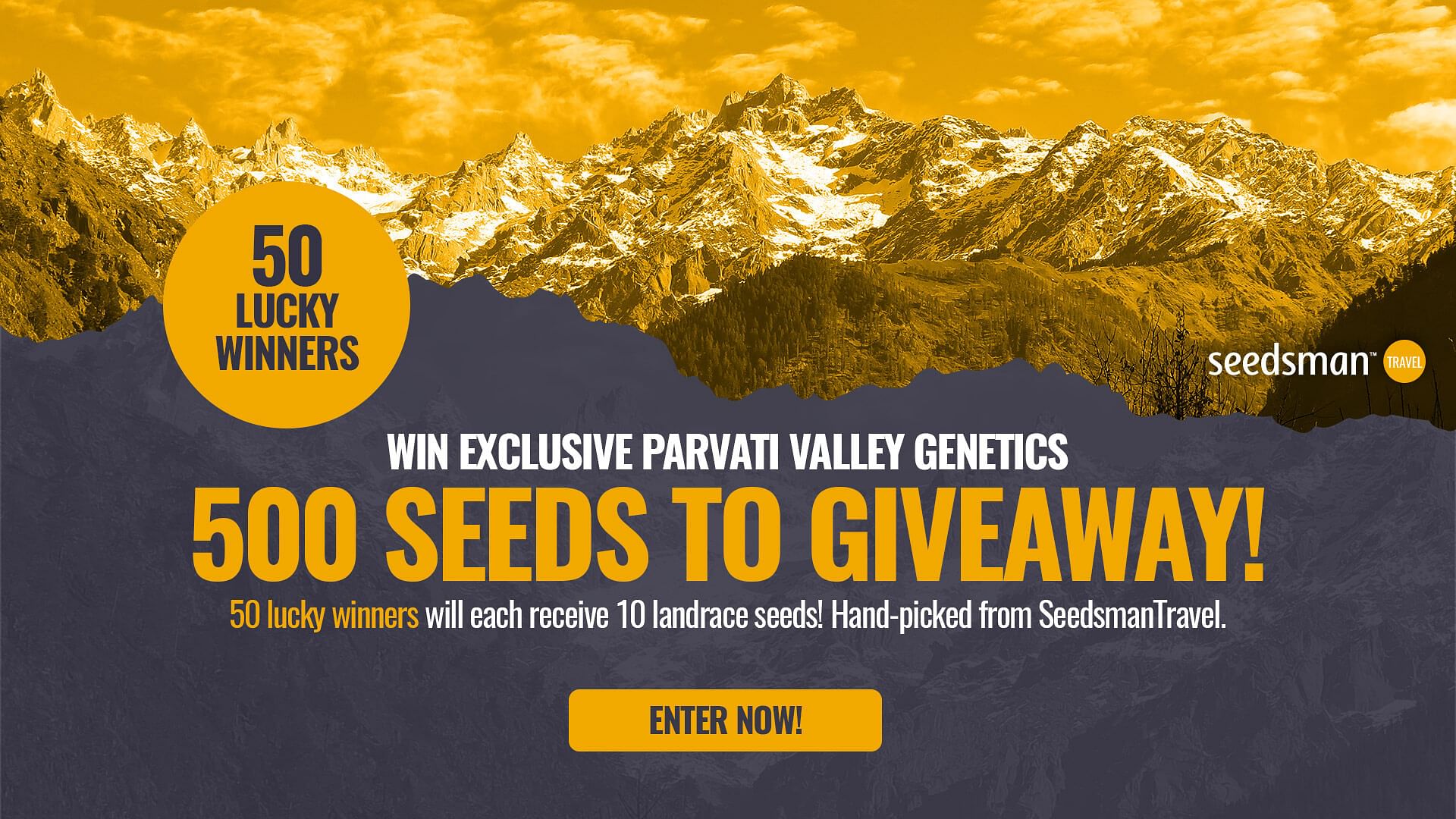 WIN 500 RARE PARVATI VALLEY SEEDS - 50 WINNERS!