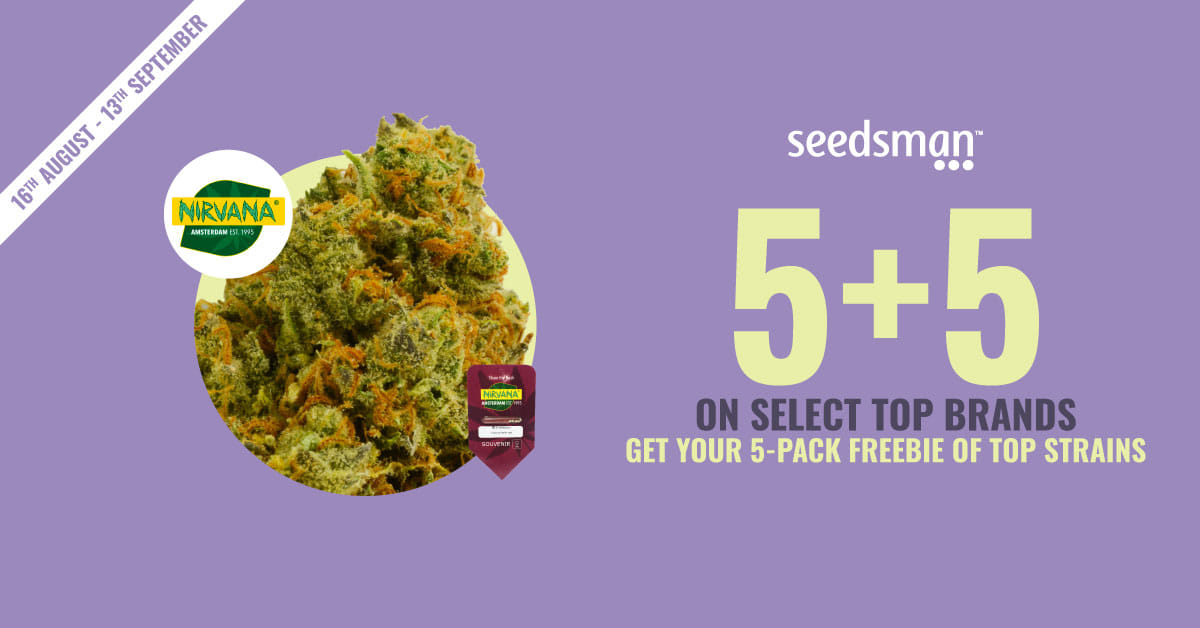 Cannabis Seeds for Sale since 2003 Seedsman EU