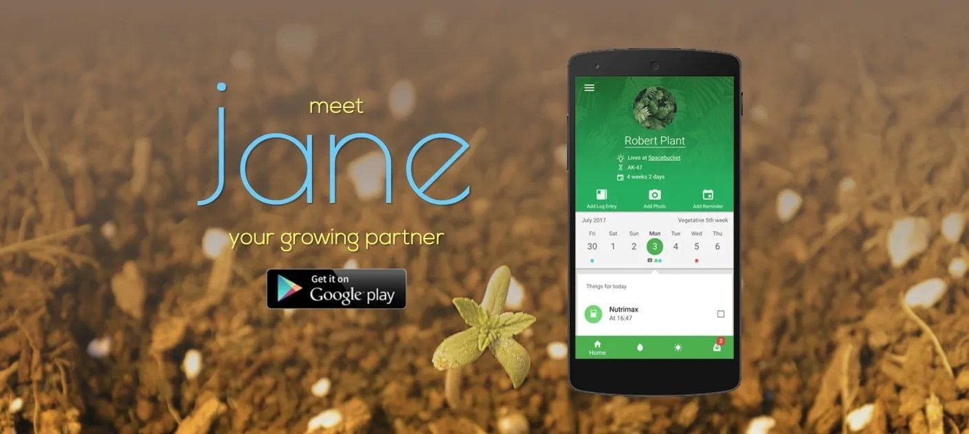 Cannabis Seeds for Sale since 2003 Seedsman EU