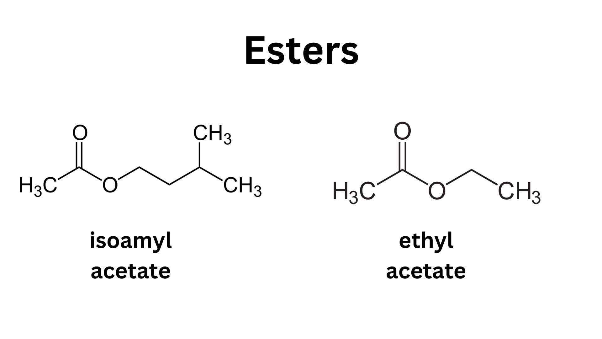 Not Just Terpenes? What Gives Cannabis Its Aroma And Flavor?