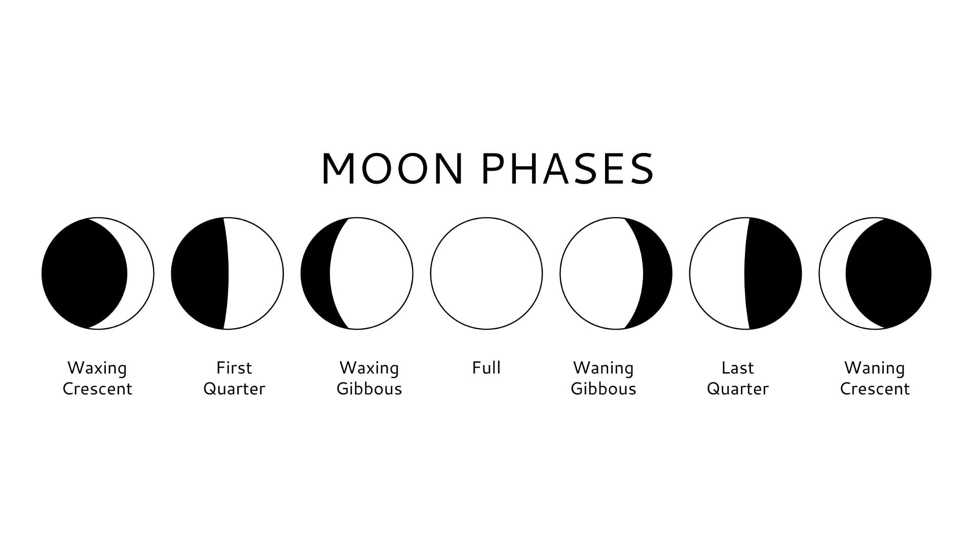 Growing Cannabis By Phases Of The Moon